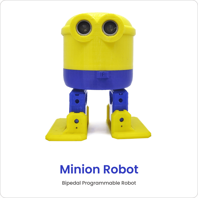 DIY Minion bipedal robot kit