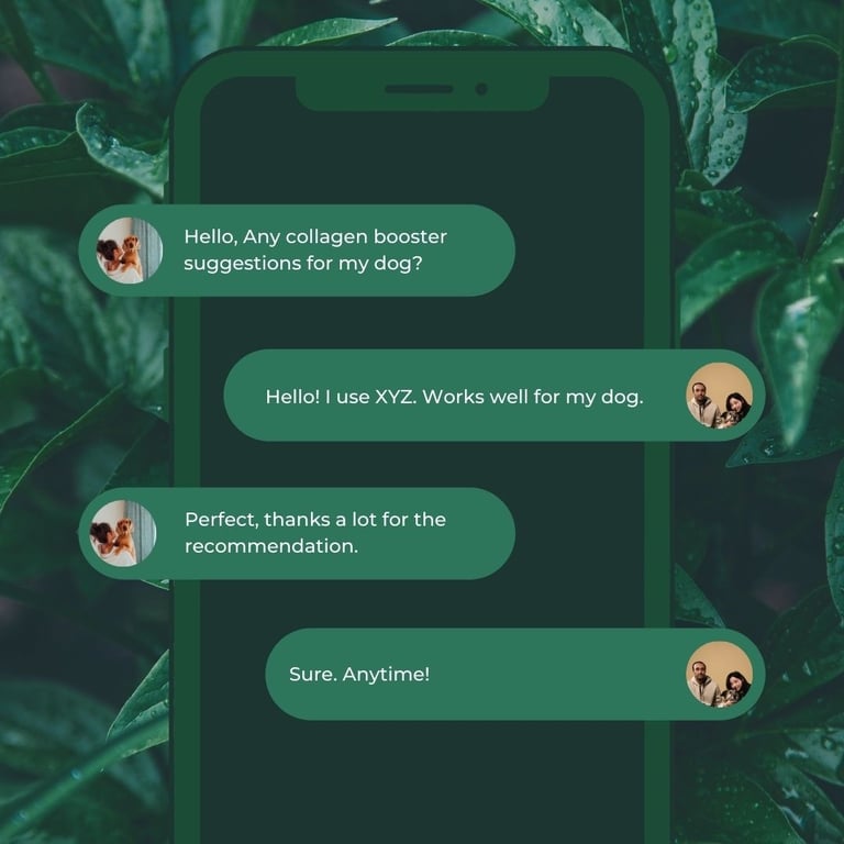 Pet Parents WhatsApp Group Conversation