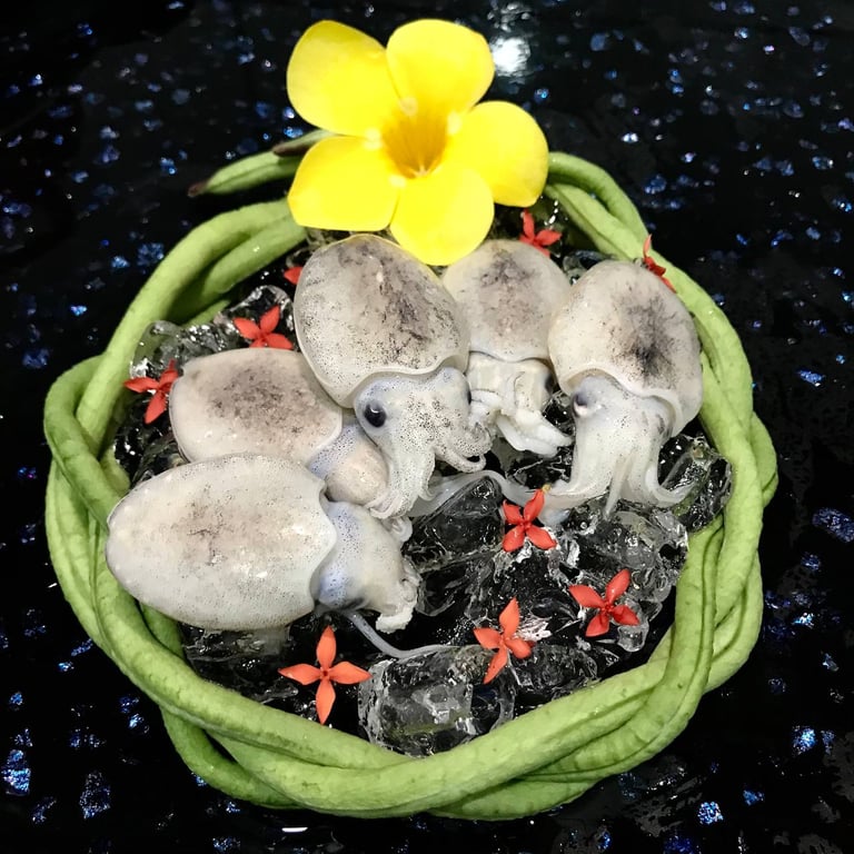 Frozen-Round-Cuttlefish-Seafood