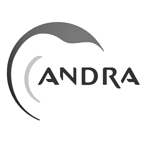 Andra
