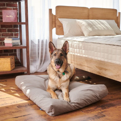 Naturepedic organic cotton and latex non-toxic pet bed.