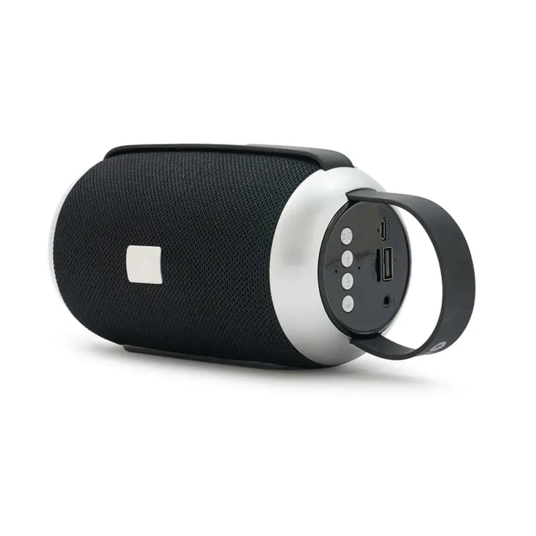 Portable black and silver Bluetooth speaker with control buttons and carrying handle.