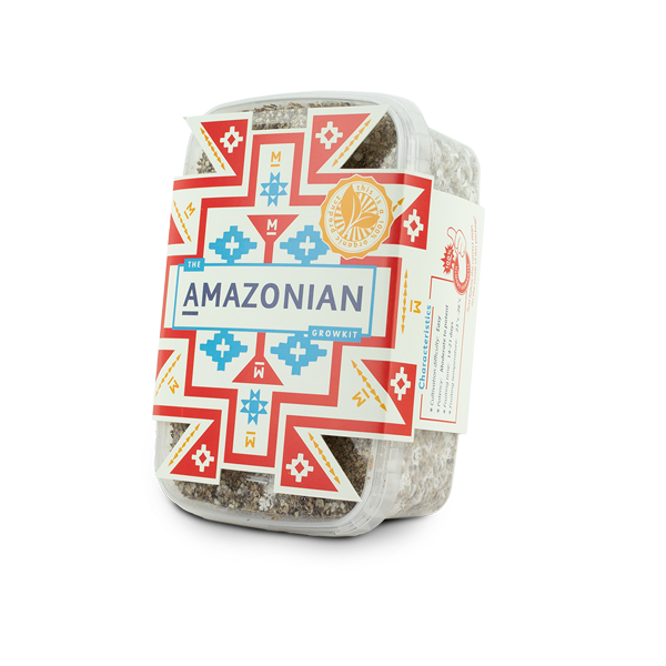 Amazonian Mushrooms Grow Kit