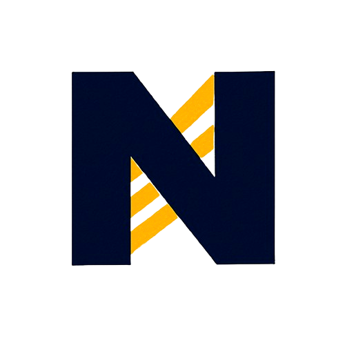 Logo NudgeInspect
