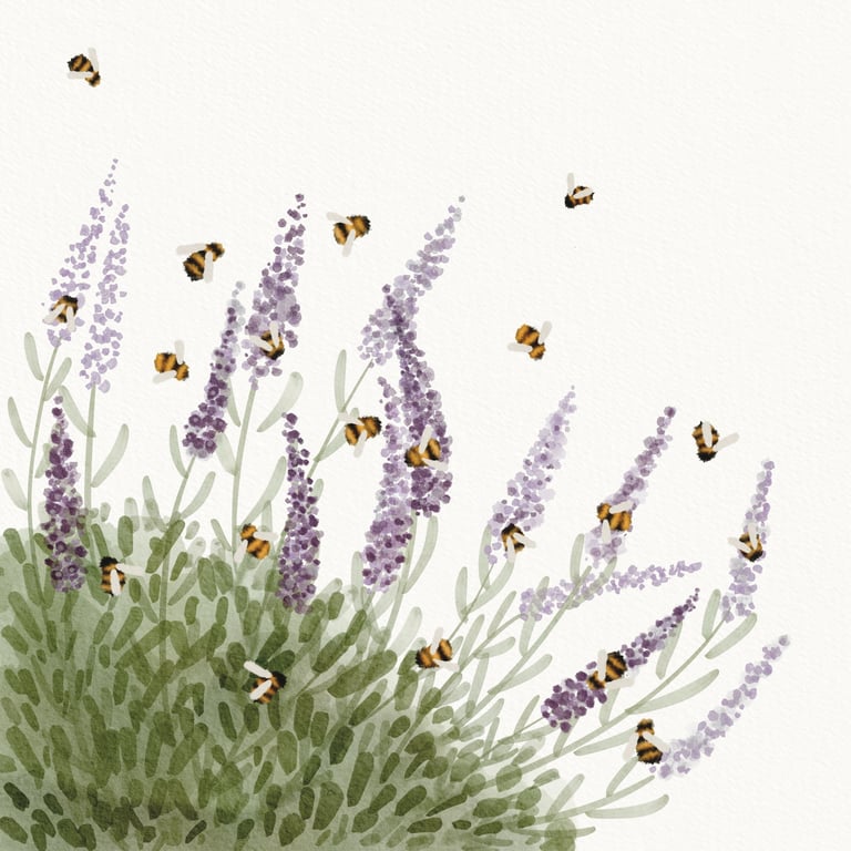 Ilustração botânica em aguarela de lavanda e abelhas inspirada na biodiversidade e natureza