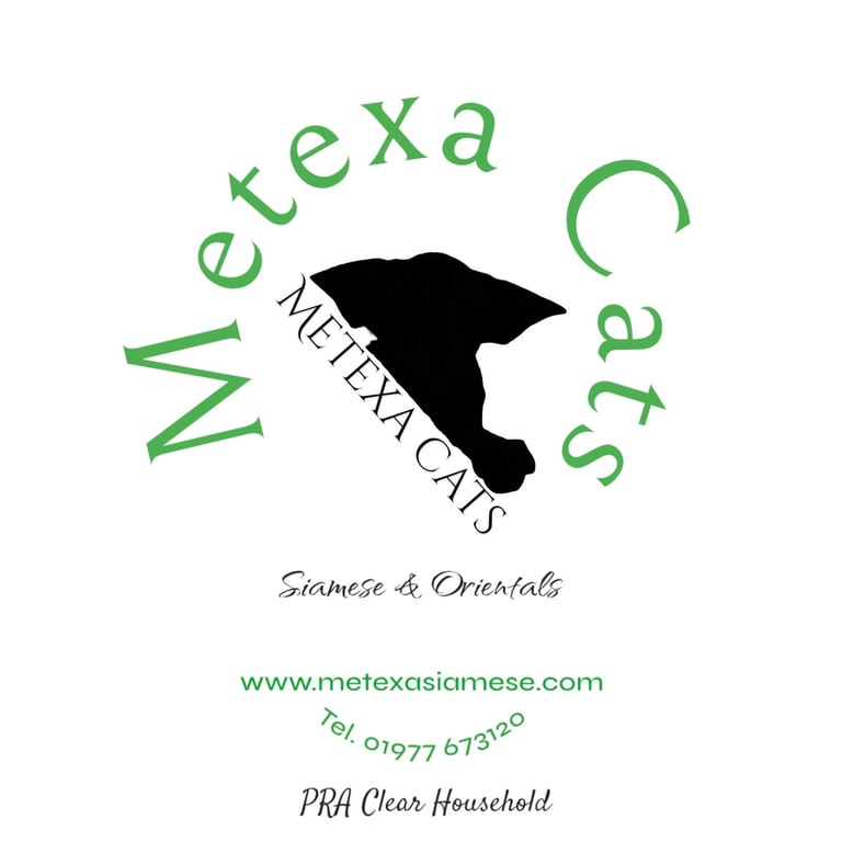 Metexa Siamese & Oriental Website banner