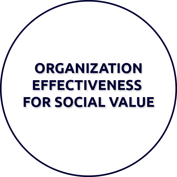Organization Effectiveness for Social Value