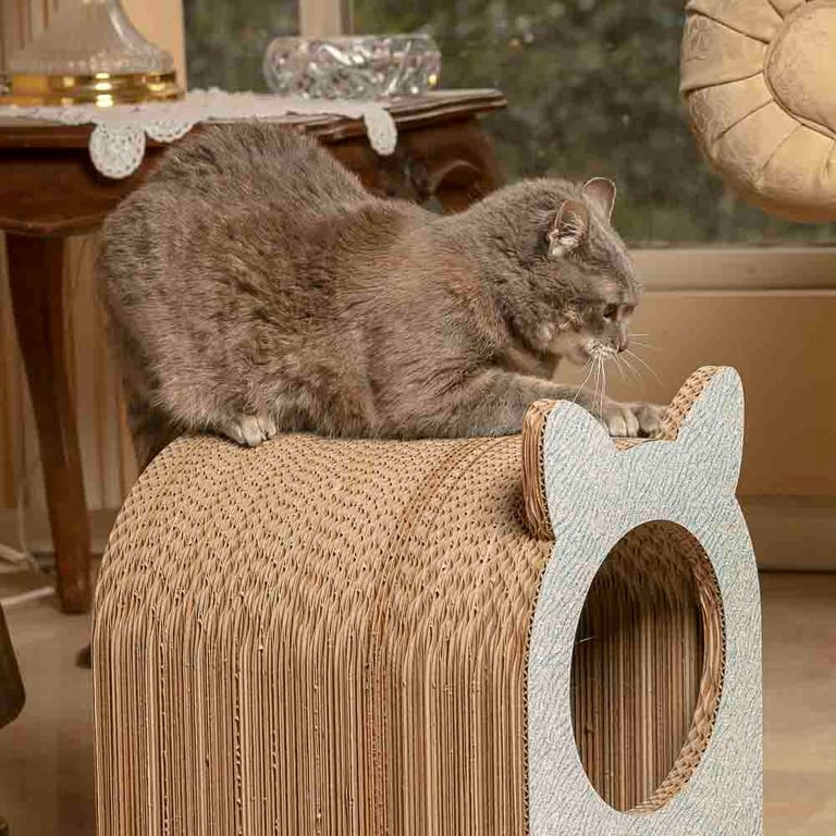 Rascador para Gatos