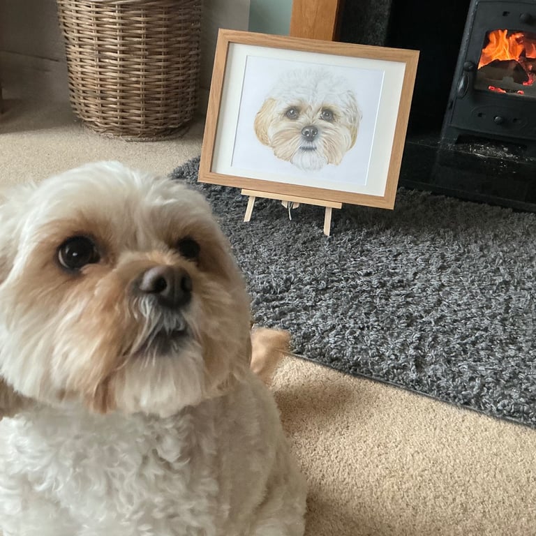 Dog pose