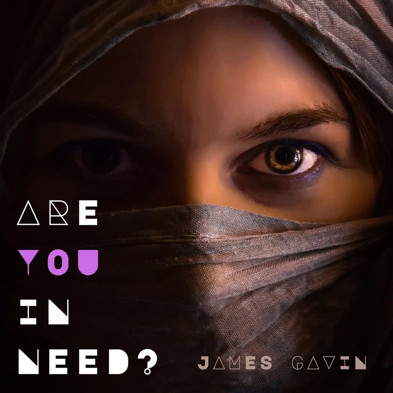 Are You in Need? - Single