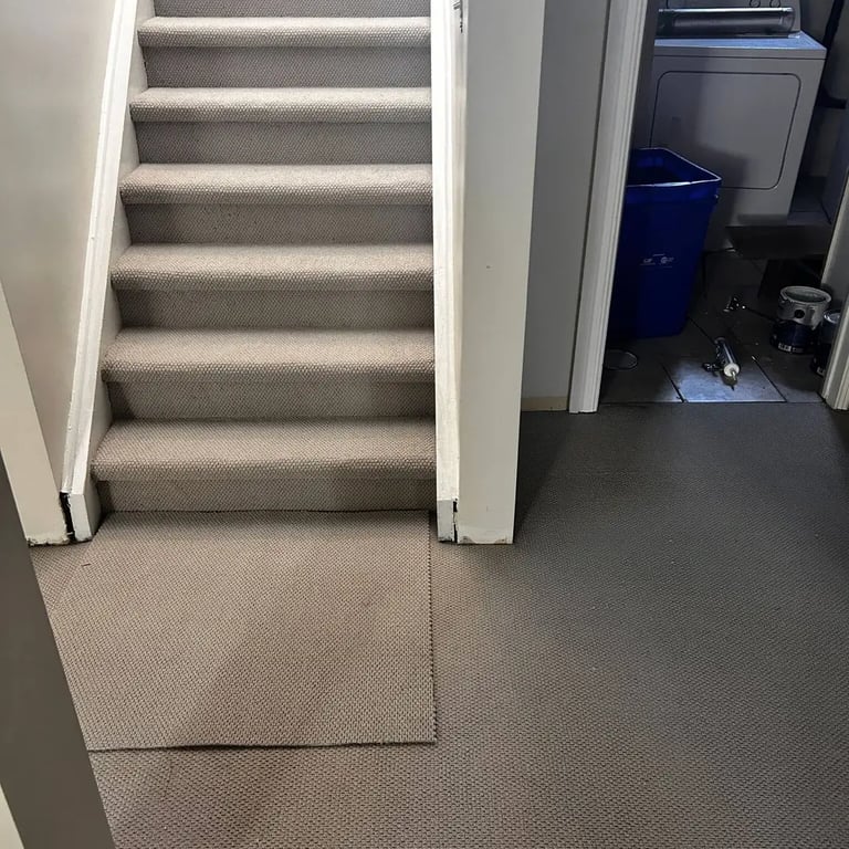 Grey Ace low pile berber carpet installed wall-to-wall in basement and basement stairs in London Ontario home