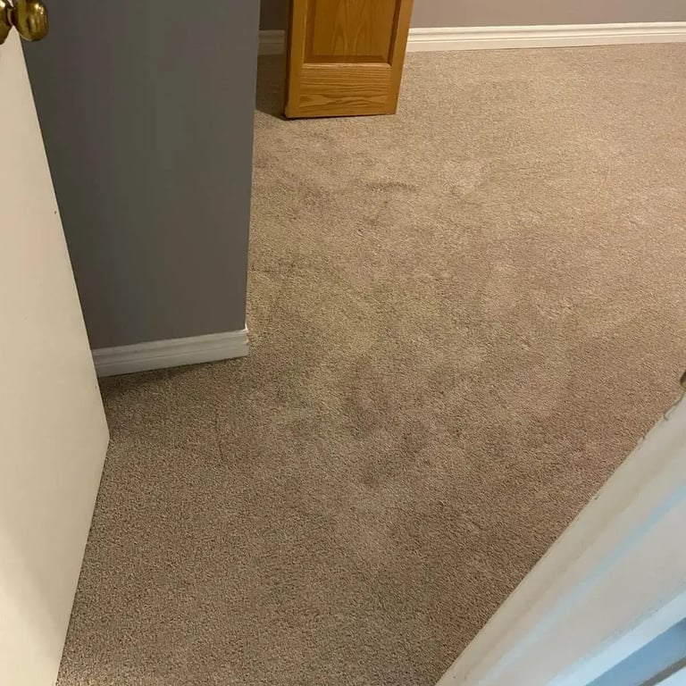 Serenity Light Sand carpet installed in a London, Ontario bedroom — a soft, medium-pile plush style.