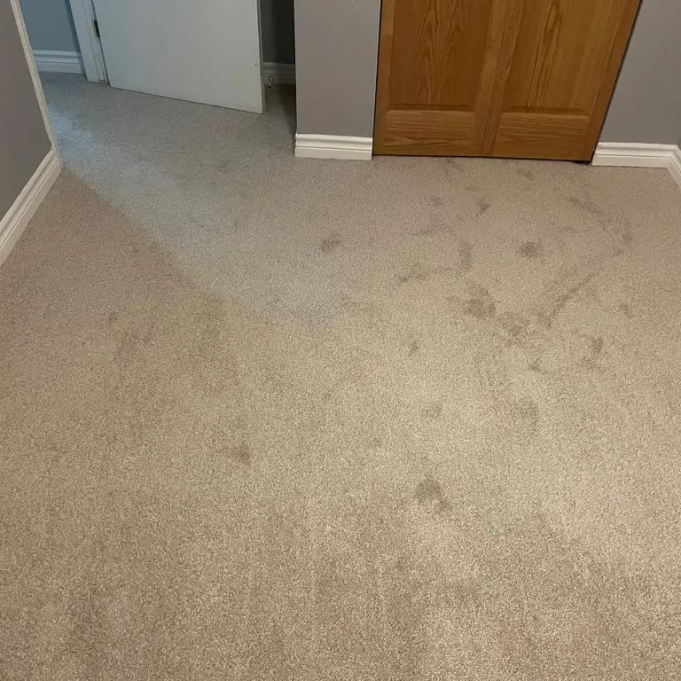 Bedroom carpet installation in London, Ontario featuring Serenity Light Sand