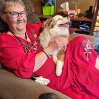 Dog boarding means lots of supervised playtime and plenty of cuddles.