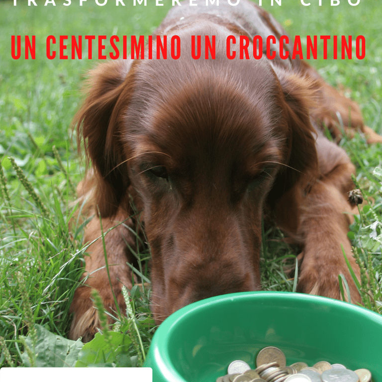 Donaci i tuoi centesimi