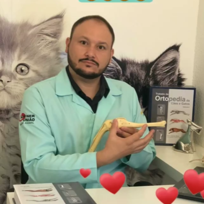 Veterinário em três lagoas