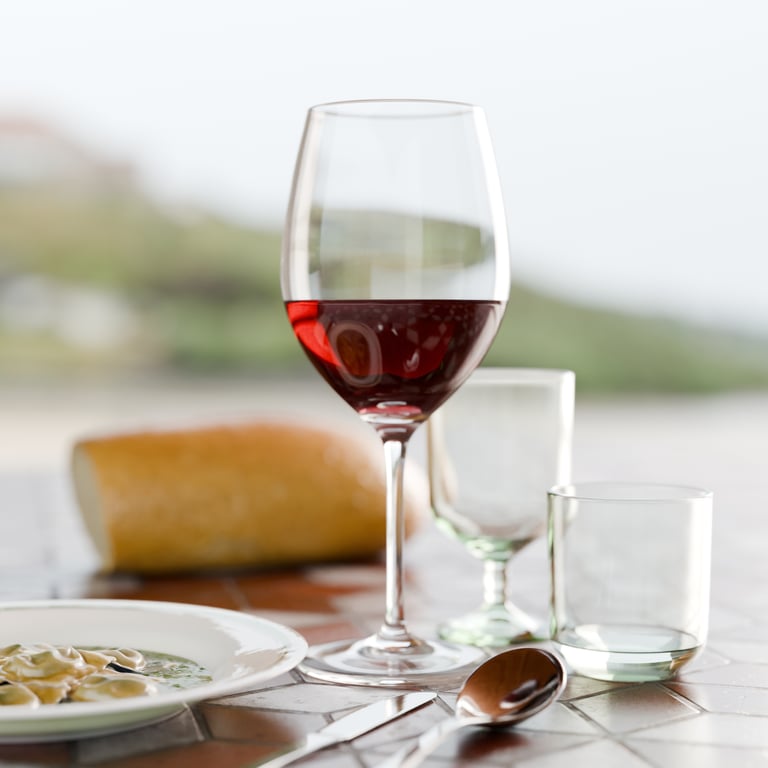 Image of Italian dinner meal render.