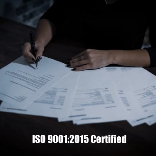 ProLingo Editors Private Limited (CIN: U74999UP2017PTC098769)