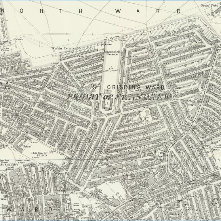 1899 Survey @ 25"