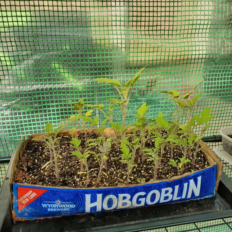 Had to drink it all because I needed the box😇