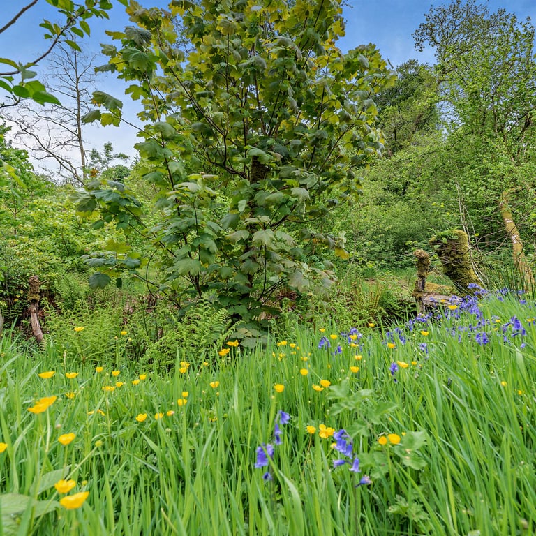 During your stay at your romantic cottage for 2 you can visit the small brook and seating area at the bottom of the valley.