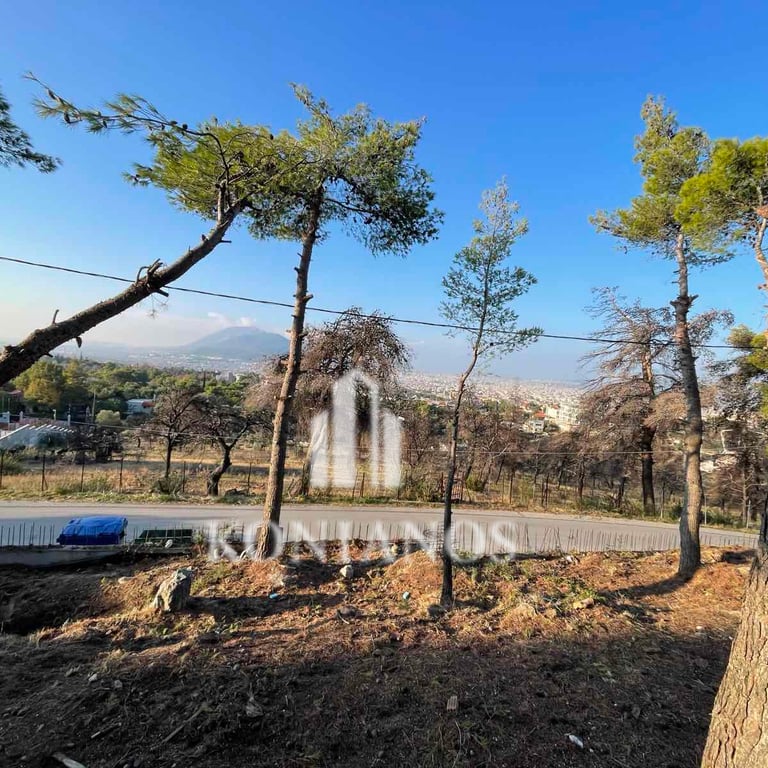 land for sale at Penteli Athens