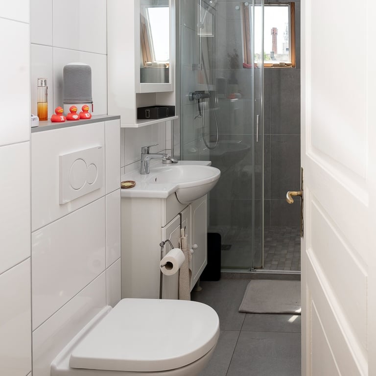 intérieur d'une salle de bain à l'espace réduit mais fonctionnelle