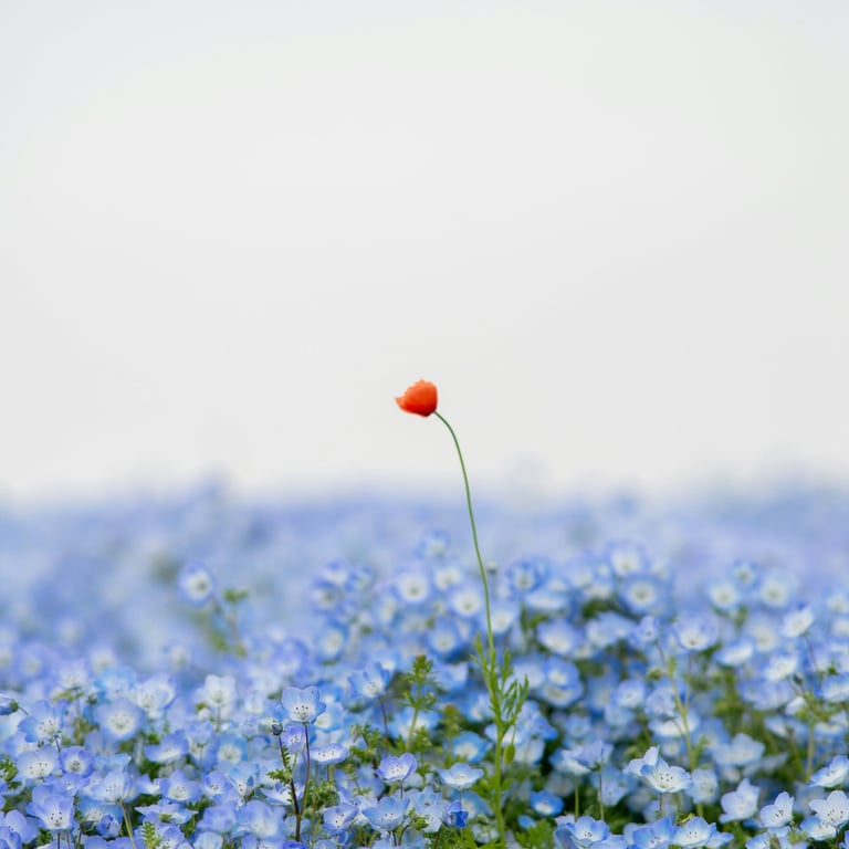 positionnement singulier stratégie de marque