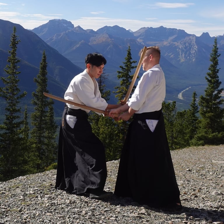 practicing Itto Ryu kenjutsu