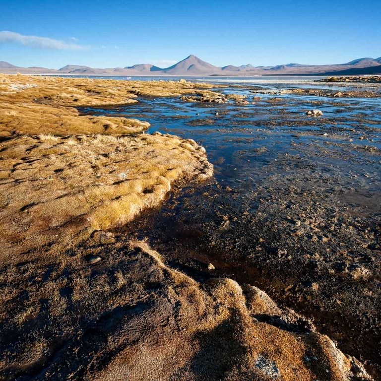 Paysage de sel devant le Licancabur dans le sud Lipez