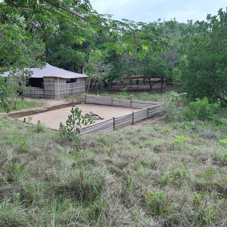 Fire pit area at Miggo's exclusive use campsite in Kosi Bay