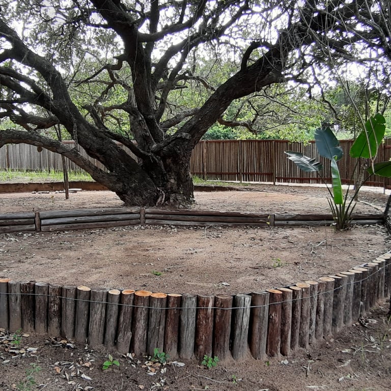 General campsite stand at Miggo's exclusive use campsite at Kosi Bay Mouth