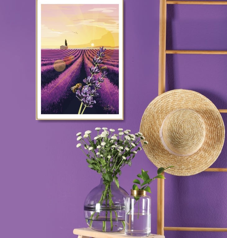 Magnifique champs de lavandes au couché su soleil sur le plateau de Valensole.