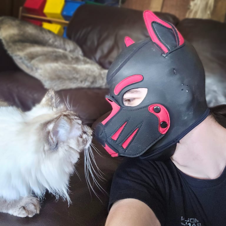 A man in a pup mask nose to nose with his cat.