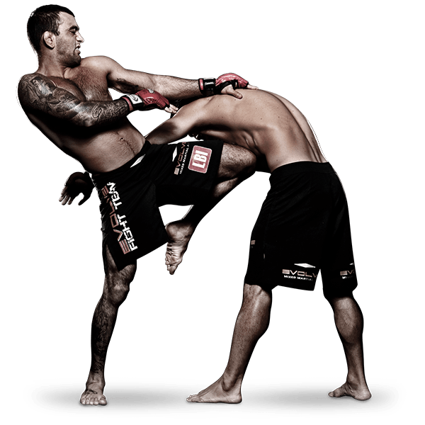Equipements et matériels de Boxe, MMA, JJB...