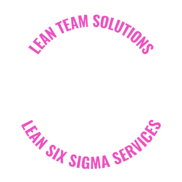 Lean Six Sigma Freelance Contract with Lean Team Solutions