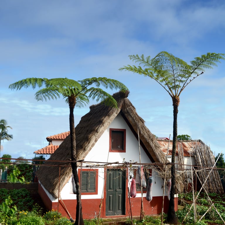 Madère Destination sûre