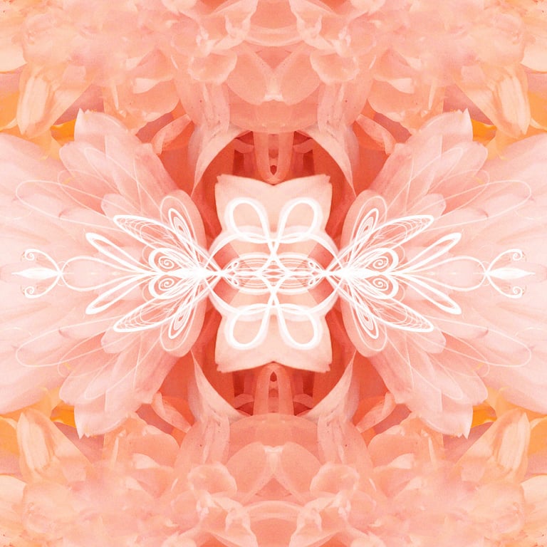 ilustración digital sobre fotografia floral