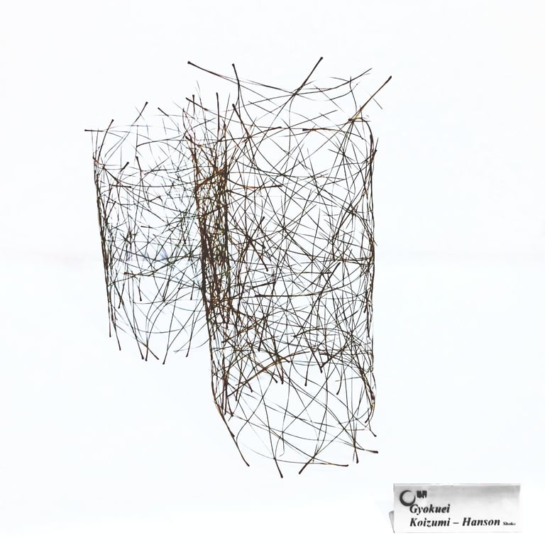 Shoko Koizumi Hanson - Sogetsu School