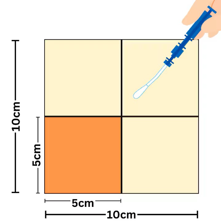 ISSA Clean Kikkoman A3