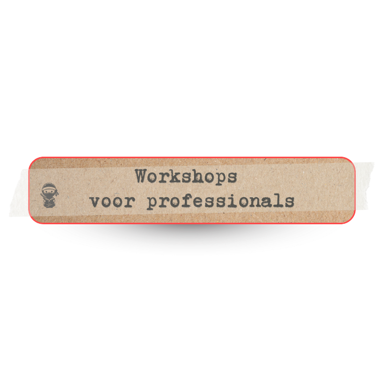 Ga naar workshops voor professionals :)