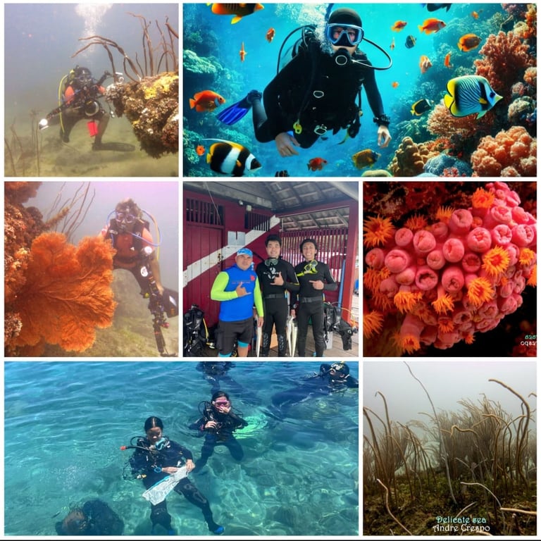 KRAKATAU DIVE TOUR