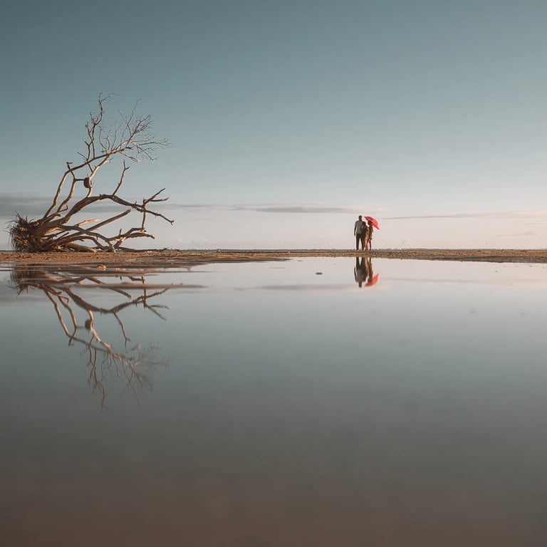 Couple holding an umbrella walking at La Prairiebeach with a fallen tree and reflections in a calm water pool