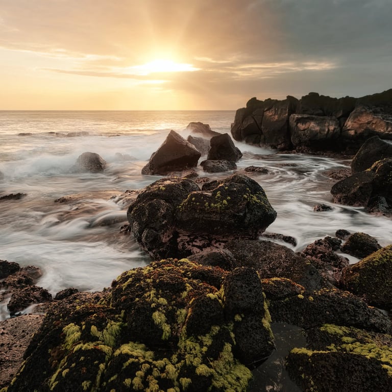 Sunset over moss-covered rocks along the rugged coastline of Albion, Mauritius, with waves gently crashing against the shore