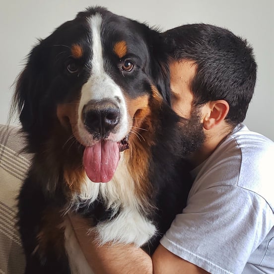 (Bentinho e Dante - Pet Sitting em Edimburgo, Escócia - Julho/2023)