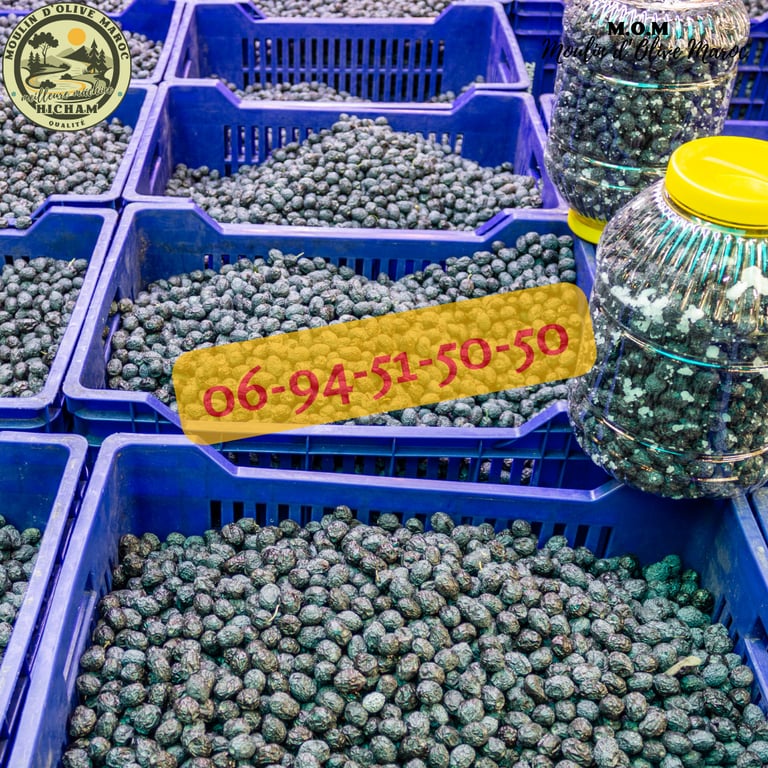 presse huile d'olive maroc