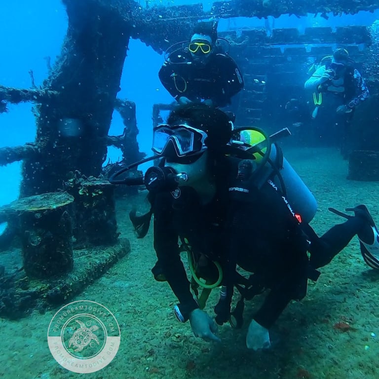 Experience the ultimate journey for pleasure with our sub-aquatic tours. 