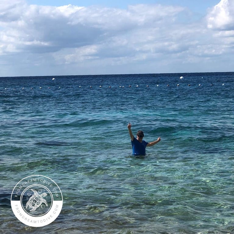 Join us for thrilling snorkel trips tailored to your skill level.