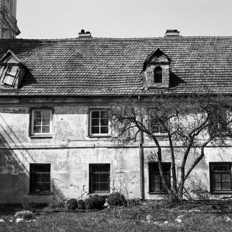 Monochrome photograph of old building with windows and tree behind