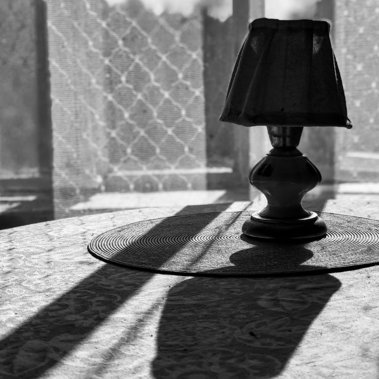 A monochrome image of a table lamp, showcasing its elegant design and contrasting shades